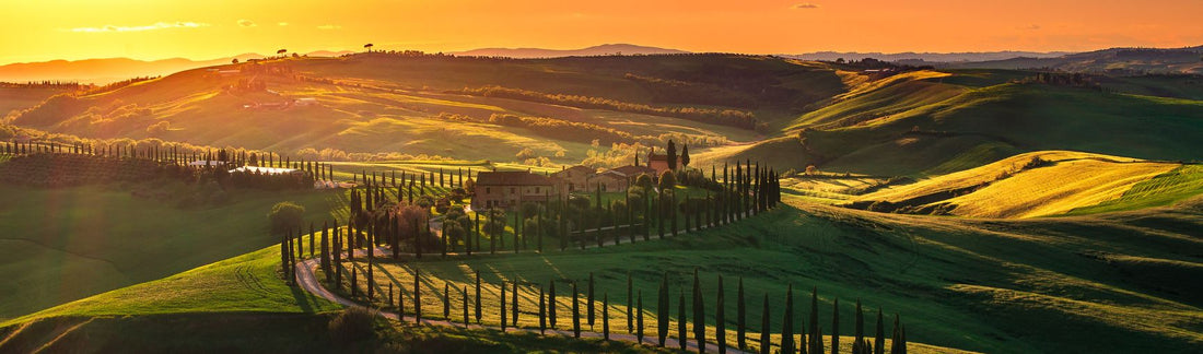 2010, Tuscany, Fine WIne, Atlas Fine Wines, Italian Wine, Italy