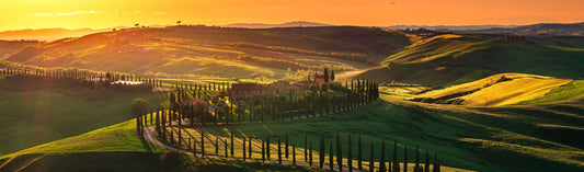 2010, Tuscany, Fine WIne, Atlas Fine Wines, Italian Wine, Italy
