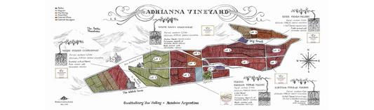 NEW RELEASE: Terroir Focused Malbec and Chardonnay from Catena Zapata's Adrianna Vineyard