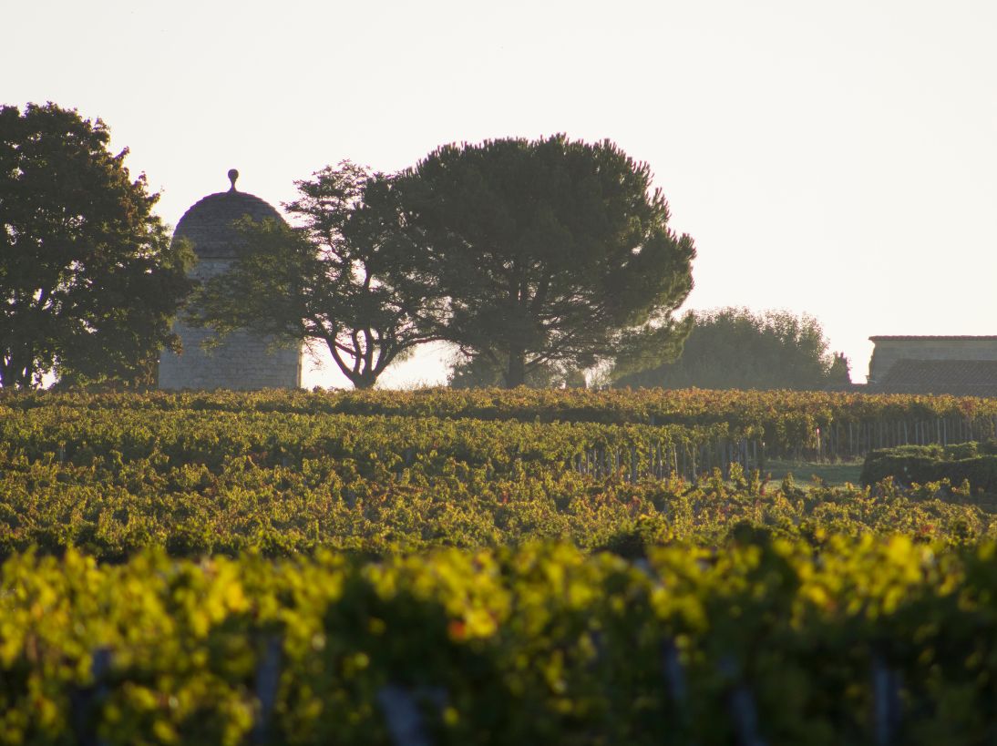 Bordeaux 2010