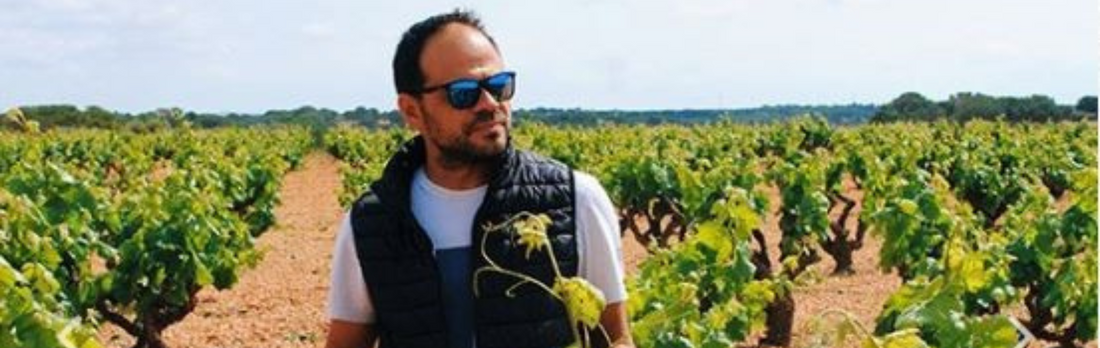 2022 Ponce, Bodegas y Viñedos Ponce
