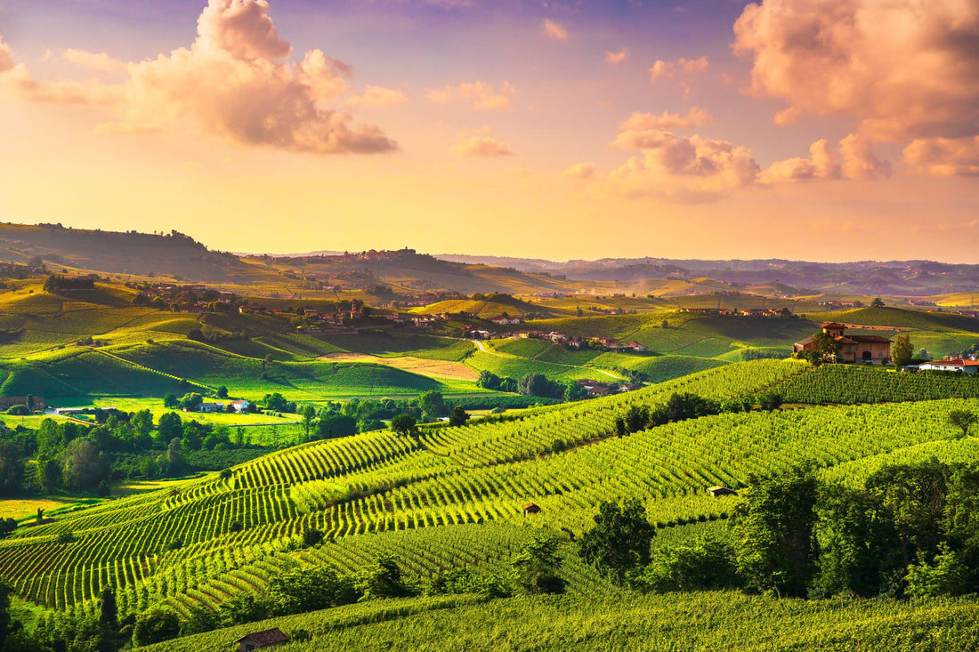 Piemonte 2015