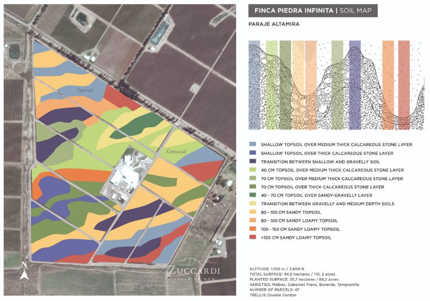 Multiple 100 point reds from Argentina's Familia Zuccardi: 'unwavering clarity, focus and precision' (ML)