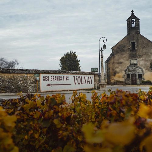 The Domaine de Montille Tasting & Dinner
