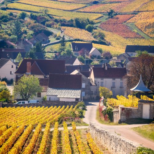 The Great Burgundy Tasting