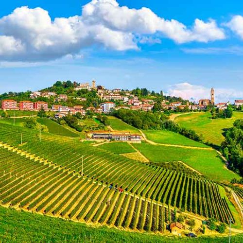 The Giacomo Conterno Cascina Francia Tasting and Dinner