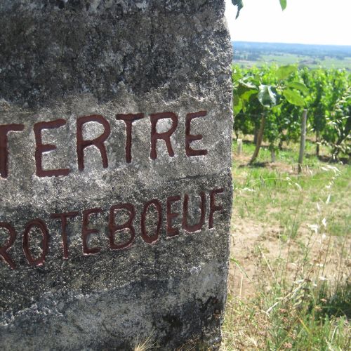 The Château Tertre-Roteboeuf Tasting and Dinner