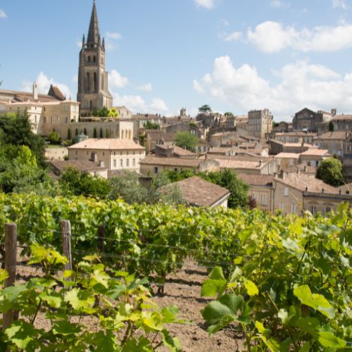 The 2000 and 2001 Comparative Bordeaux Tasting