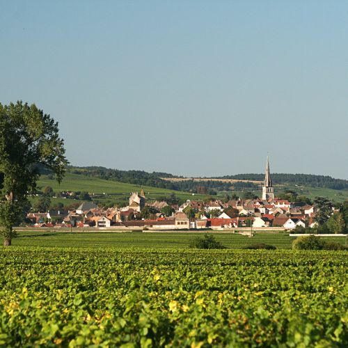 The Grand Cru Burgundy Tasting and Dinner
