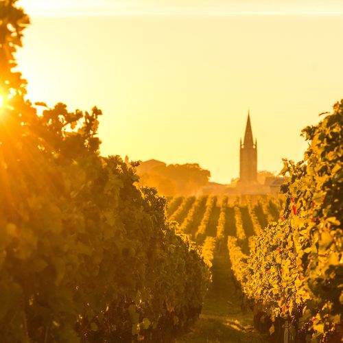 The Great Bordeaux Tasting: 2010-2012