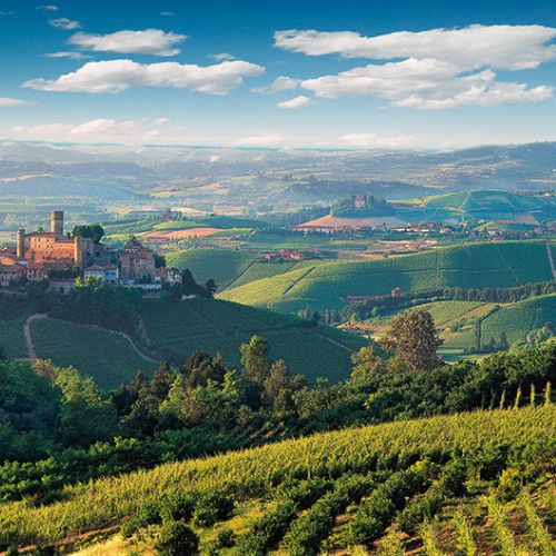 The Vietti Tasting & Dinner