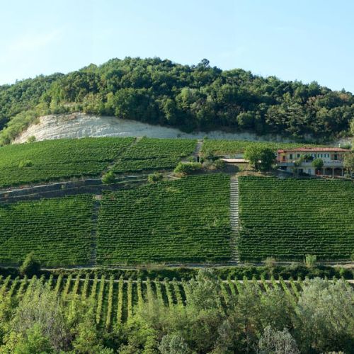 The Elio Grasso Tasting & Dinner