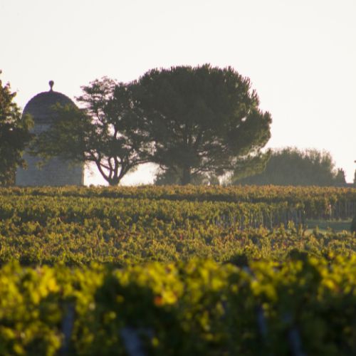 The Four Bordeaux Châteaux Tasting & Dinner