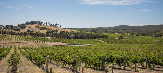 Two Exceptional New Releases from Australian Shiraz Specialists Sanguine Estate