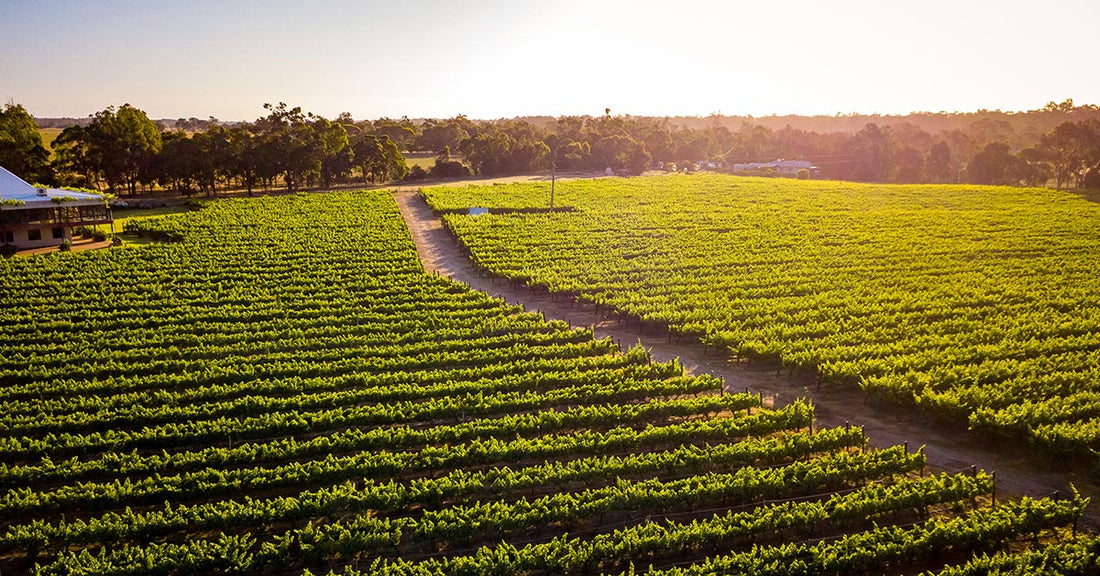 2020 Mount Barker Riesling, Capel Vale - a great value from Western Australia