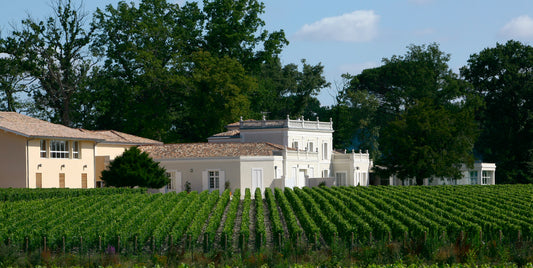 2016 Château Gazin-Rocquencourt Blanc - A New Find in White Bordeaux REVISITED