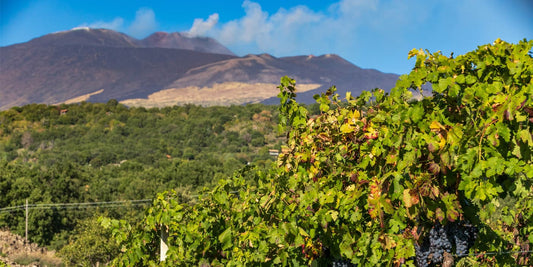 2019 Etna Rosso, 'Contrada Cavaliere', Benanti : High class from one of Sicily's standout estates