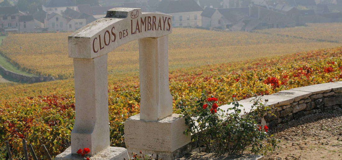 Domaine des Lambrays 2016
