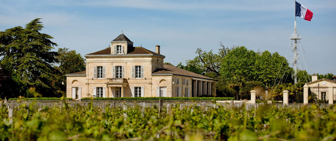 NEW 2022 BORDEAUX EN PRIMEUR RELEASE - Chateau Montrose, Saint-Estephe