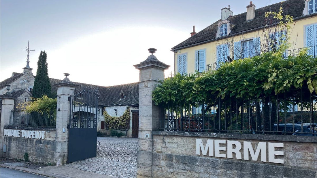 Domaine Taupenot-Merme 2019