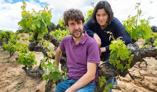 2016 Dominio del Àguila Reserva - a very special Ribera del Duero