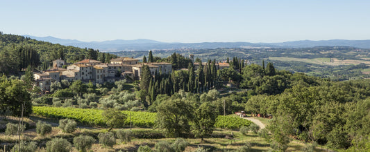 NEW RELEASE : 2019 Concerto di Fonterutoli - the finest vintage yet of an authentic Super Tuscan