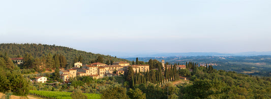 2018 Siepi, Fonterutoli - The best yet for this unique Tuscan