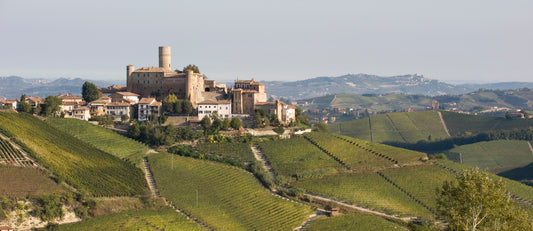 NEW RELEASE : 2019 Timorasso Derthona from Vietti - a highly individual, historic white