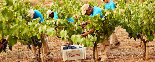 NEW TO ATLAS : 2017 Subtil, Serral del Roure, Recaredo - simply world-class