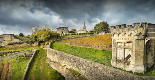 NEW 2020 BORDEAUX EN PRIMEUR RELEASE - Château La Clotte