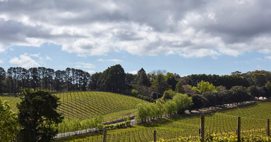 2020 M3 Chardonnay, Shaw + Smith - a word to the wise : well worth loading up