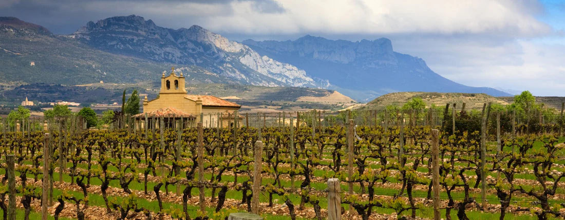 New releases from Lopez de Heredia - Two superb white Rioja