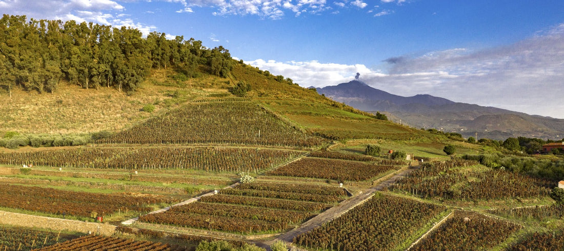 2017 Etna Rosso, 'Contrada Cavaliere' from Benanti - 'hard to argue with this wine’s charm'