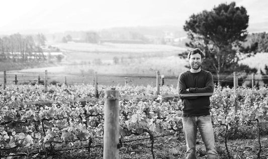 NEW RELEASES: Storm Pinot Noir and Chardonnay - A stellar set from one of South Africa’s finest producers