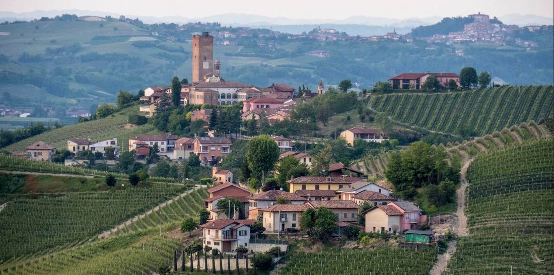 2018 Barbaresco, Rabaja From Guiseppe Cortese - a lesson in following grower over vintage