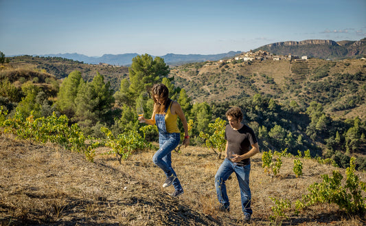 2019 Partida Pedrer Rosat - An amazing and truly distinctive rosé