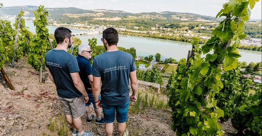 2018 Côte-Rôtie from Domaine Jean-Michel Gerin : Among the Northern Rhône's finest estates