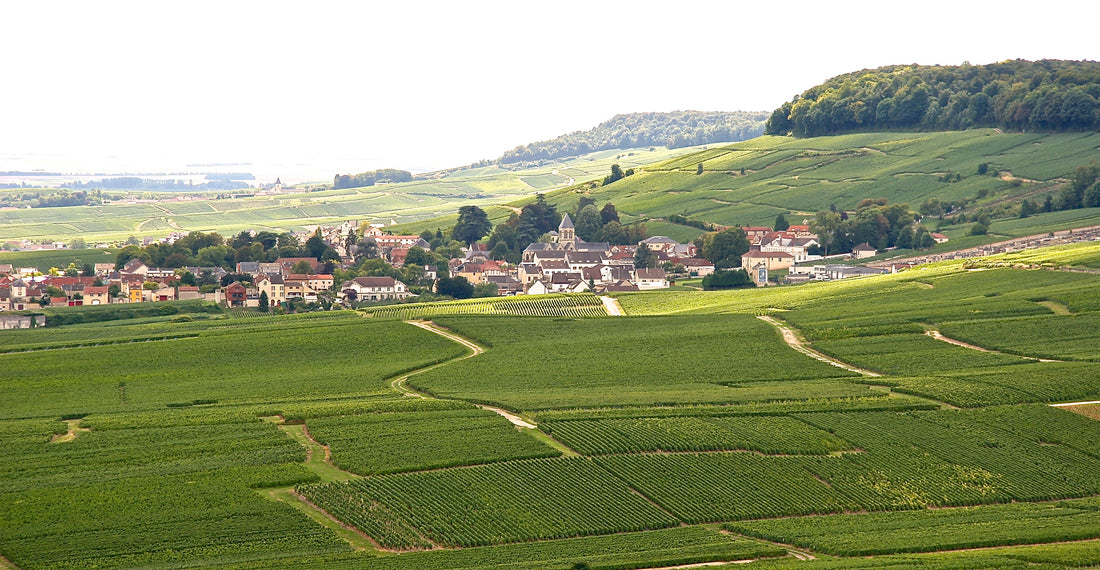 NV Mycorhize, De Sousa - a stunning Grand Cru Champagne