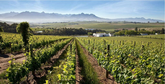 2018 Reserve Chenin Blanc, DeMorgenzon - another showstopper