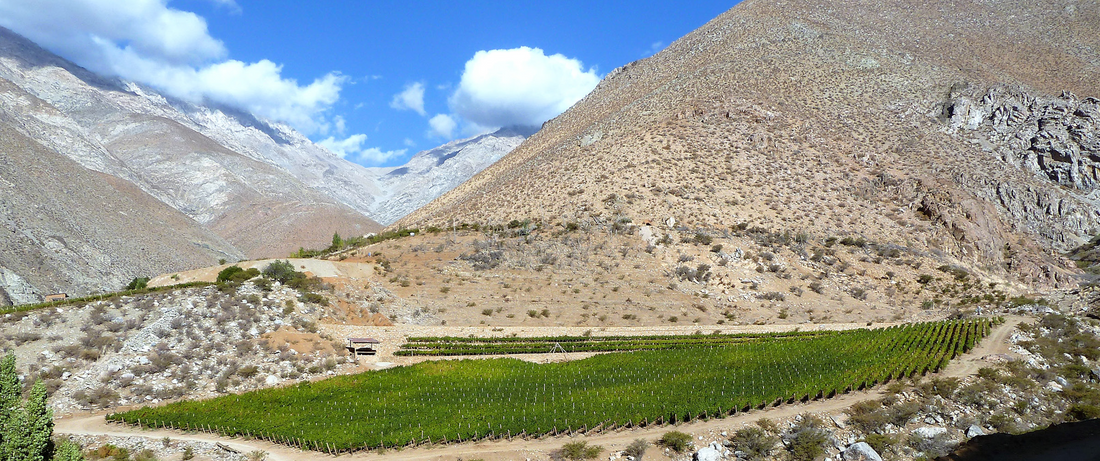 2018 Grus, Viñedos de Alcohuaz - a high-flying Chilean red from the world's highest commercial vineyard