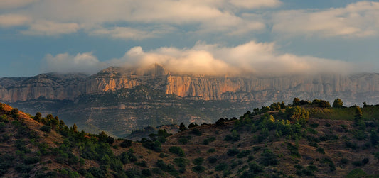 2018 Dits del Terra, Terroir Al Limit - bringing life to Priorat