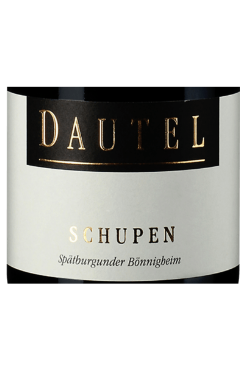 Weingut Dautel, Spätburgunder, Schupen GG 2019 6x75cl