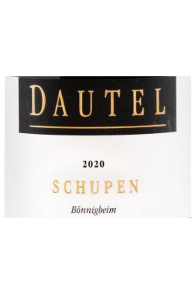 Weingut Dautel, Spätburgunder, Schupen GG 2020 6x75cl