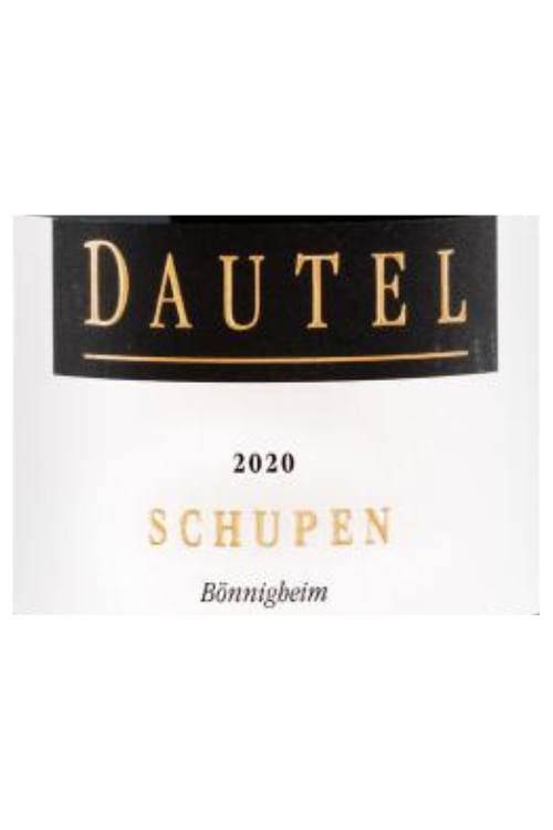 Weingut Dautel, Spätburgunder, Schupen GG 2020 6x75cl