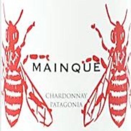 2025 Mainque Chardonnay, Bodega Chacra - A surprise for Burgundy fans?