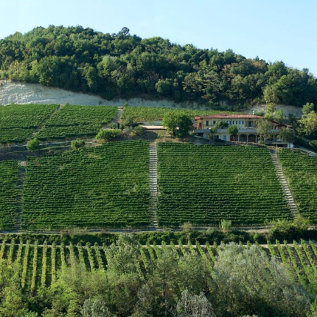 A Grasso Barolo triumvirate: two brilliant 2022s and an epic 2020 Riserva