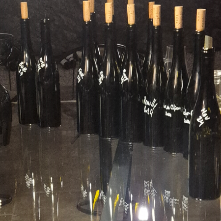 Burgundy 2024: Value picks