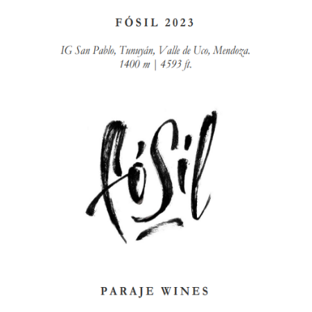 Two highly individual Argentinian Chardonnays - 'I am totally smitten' SL
